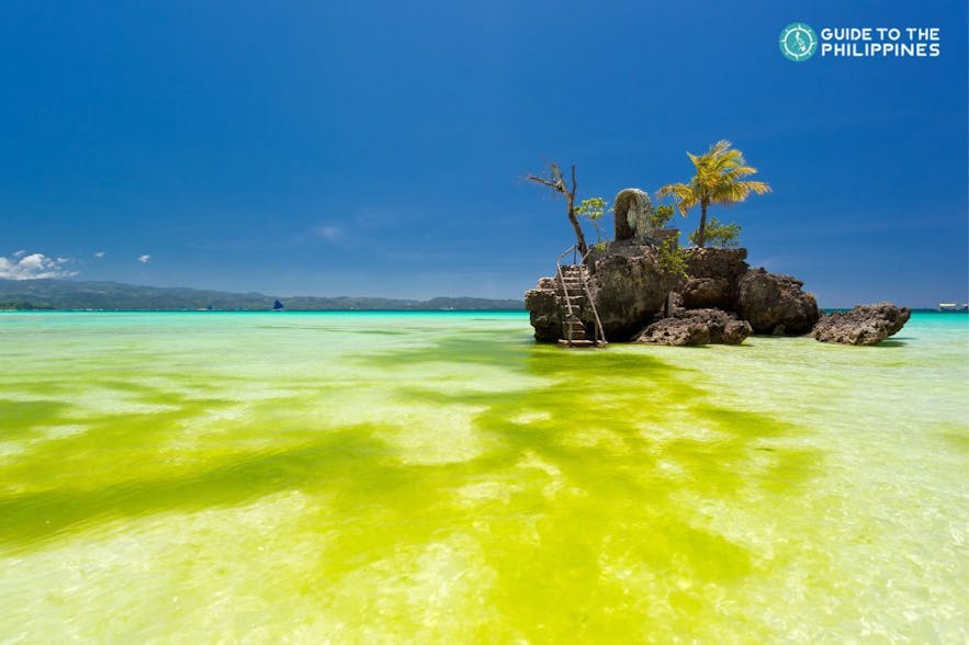 Algae season in Boracay