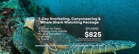 Exciting 7-Day Snorkeling & Whale Shark Watching Tour Package to Coron and Cebu From Manila