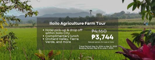 Iloilo Farm Agriculture Tour to Ephrathah Farm & Damires Hill Tierra Verde with Transfers