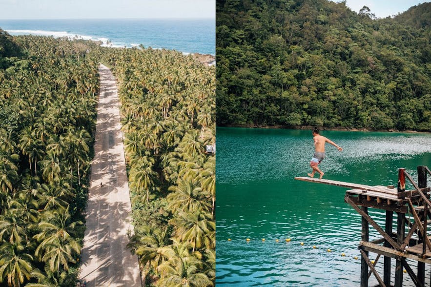 Palm tree lined road Siargao motorcycle and Sugba Lagoon diving board
