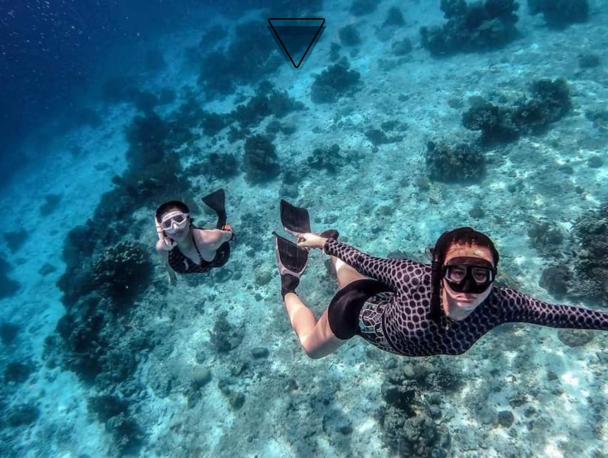 Batangas Freediving Basic Workshop with Lunch, Gear Rental, E ...