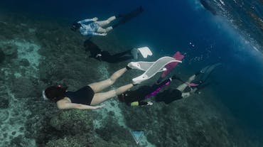 Epic 3-Day Batangas Zero to Hero Freediving Program Package with Accommodations, Meals & Gear Rental