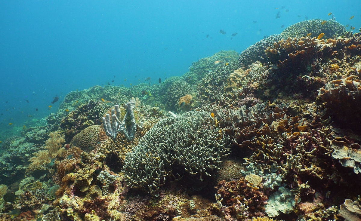 Camiguin Island Hopping Tour to White Island, Katunggan Park & Mantigue ...