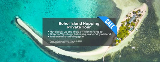Bohol Island Hopping Private Tour to Balicasag & Virgin Islands with Dolphin Watching & Transfers