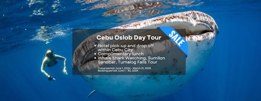 Cebu Oslob Whale Shark Watching, Sumilon Sandbar, Tumalog Falls Tour with Lunch & Transfers