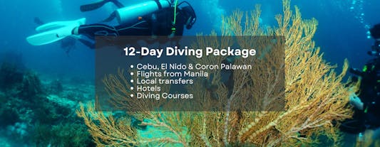 Thrilling 12-Day Diving Package to Cebu, El Nido & Coron Palawan from Manila with Hotels