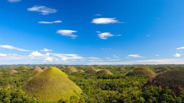 Chocolate Hills