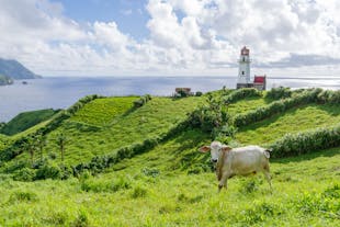 Hassle-Free 3-Day Batanes Package with Budget Hotel, Daily Breakfast & Airport Transfers