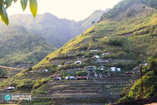 Banaue Rice Terraces