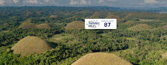 Bohol Countryside Private Tour & Shared Loboc River Lunch Cruise with Transfers